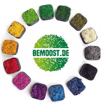 Moosherz Herzchen Dekoherz  Geschenk von Herzen