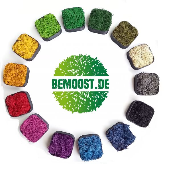 Moosherz Herzchen Dekoherz  Geschenk von Herzen